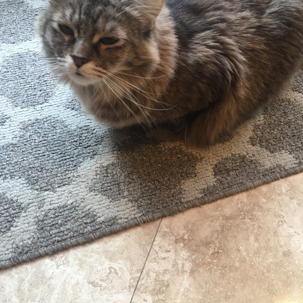 Meet your Posher, Pinki